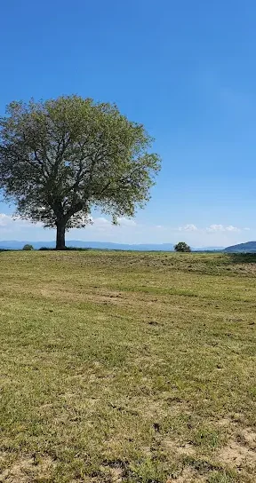 Widok z placu dla kamperow Waldeckhof